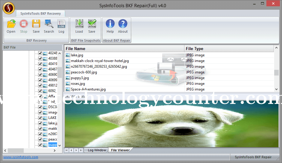 SysInfos BKF Recovery Screenshots